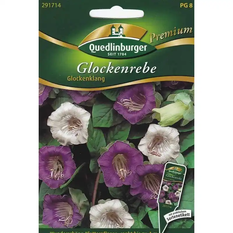 Glockenrebe, Glockenklang Saisonangebot